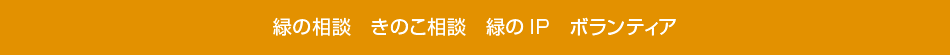 きのこ相談　ボランティア