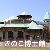 きのこ博士館