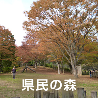 県民の森
