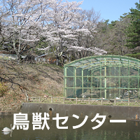 鳥獣センター
