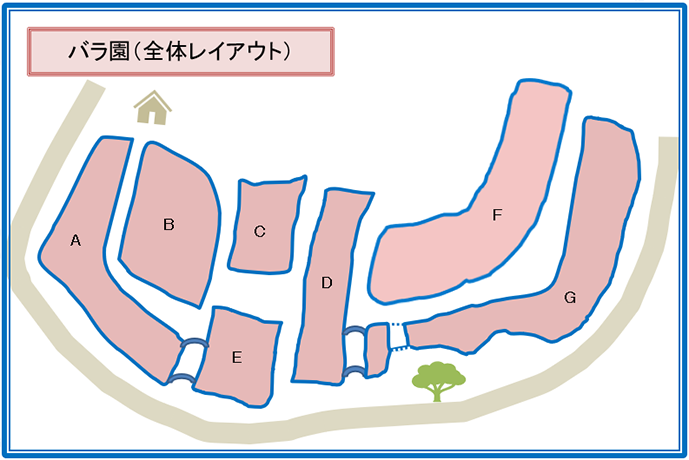レイアウト図